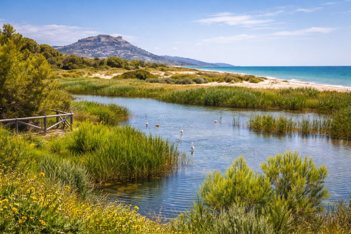 Sostenibilidad y turismo verde en Sagunto