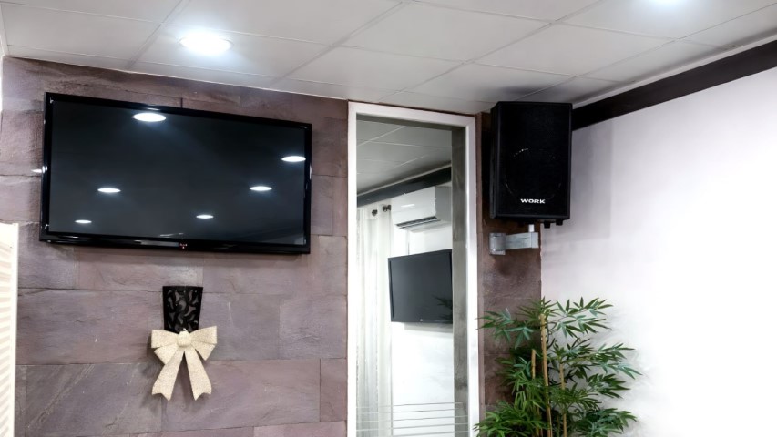 TV pantalla plana y altavoz WORK para presentaciones en la sala